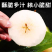 《酥梨》河南宁陵现摘现发/一手货源/对接加工厂/社区团购