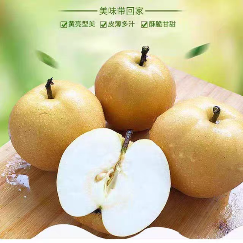 套袋秋月梨/大量供应/市场货/电商货/工厂货/万亩基地批发
