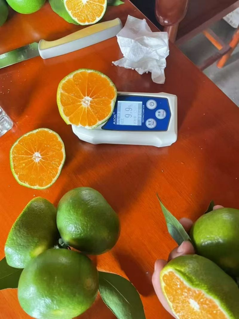 蜜橘精品小叶蜜橘现摘现发皮薄味甜量大优惠对接全国