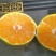 蜜橘精品小叶蜜橘现摘现发皮薄味甜量大优惠对接全国