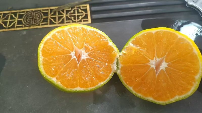 蜜橘精品小叶蜜橘现摘现发皮薄味甜量大优惠对接全国