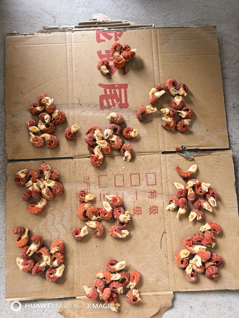 精品特大、特级、一级、二级、三级龙虾尾原料