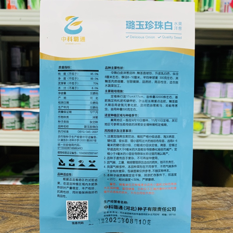 璐玉珍珠白水果洋葱中熟白皮洋葱品种甘甜微辣商品性好