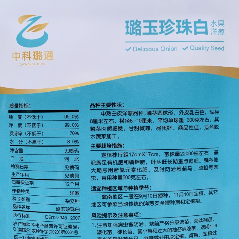 璐玉珍珠白水果洋葱中熟白皮洋葱品种甘甜微辣商品性好