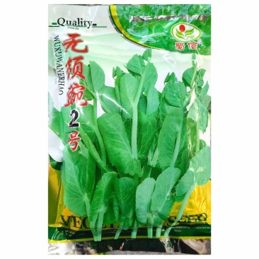 无须豌豆苗种籽清香脆甜白花无须豌豆尖种子抗病丰产采收期长