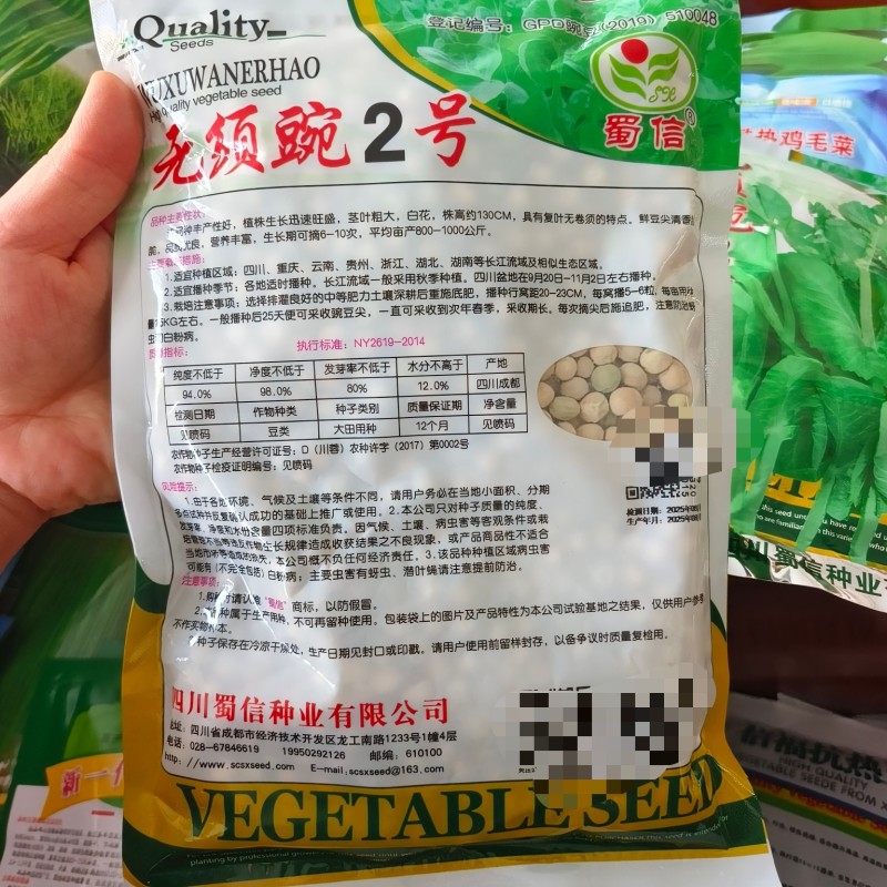无须豌豆苗种籽清香脆甜白花无须豌豆尖种子抗病丰产采收期长