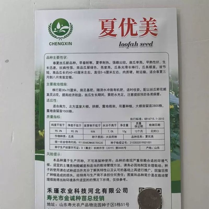 夏优美早熟强雌长丝瓜种子生长快瓜条顺直瓜翠绿色肉质硬耐热