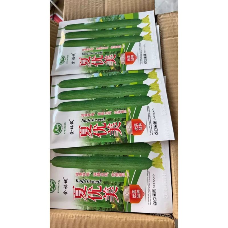 夏优美早熟强雌长丝瓜种子生长快瓜条顺直瓜翠绿色肉质硬耐热