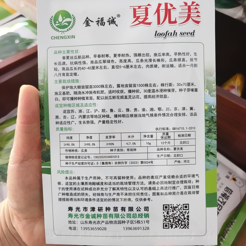 夏优美早熟强雌长丝瓜种子生长快瓜条顺直瓜翠绿色肉质硬耐热