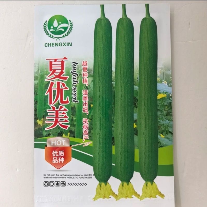 夏优美早熟强雌长丝瓜种子生长快瓜条顺直瓜翠绿色肉质硬耐热