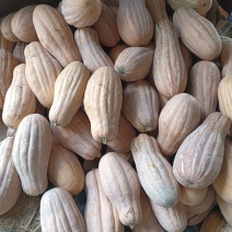 河南漯，河南瓜