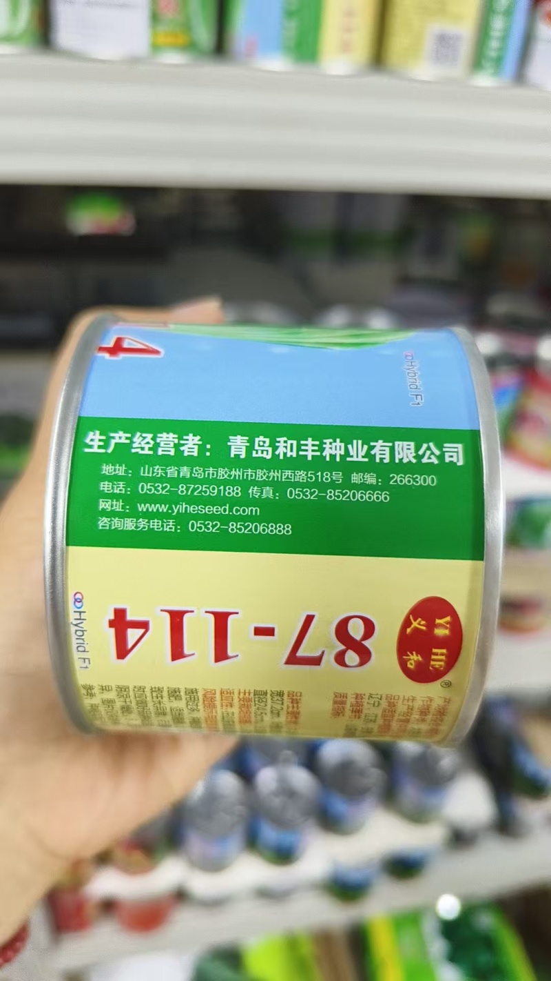 义和87114大白菜种子山东大白菜种籽抗病冬储秋季大白菜