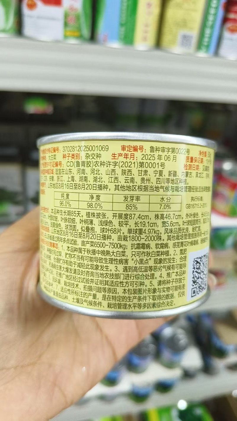 义和87114大白菜种子山东大白菜种籽抗病冬储秋季大白菜