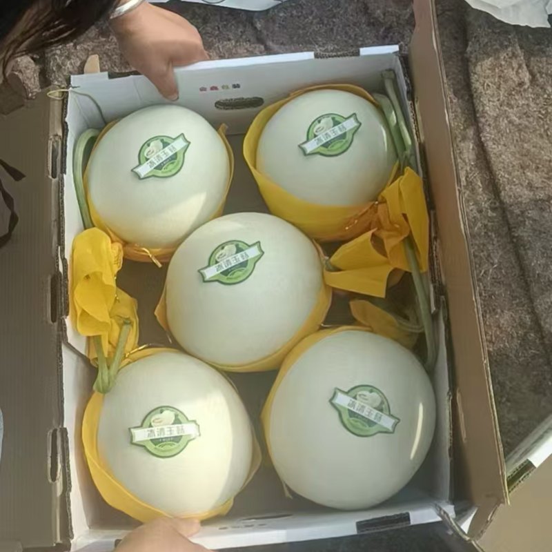 精品玉菇，久红瑞