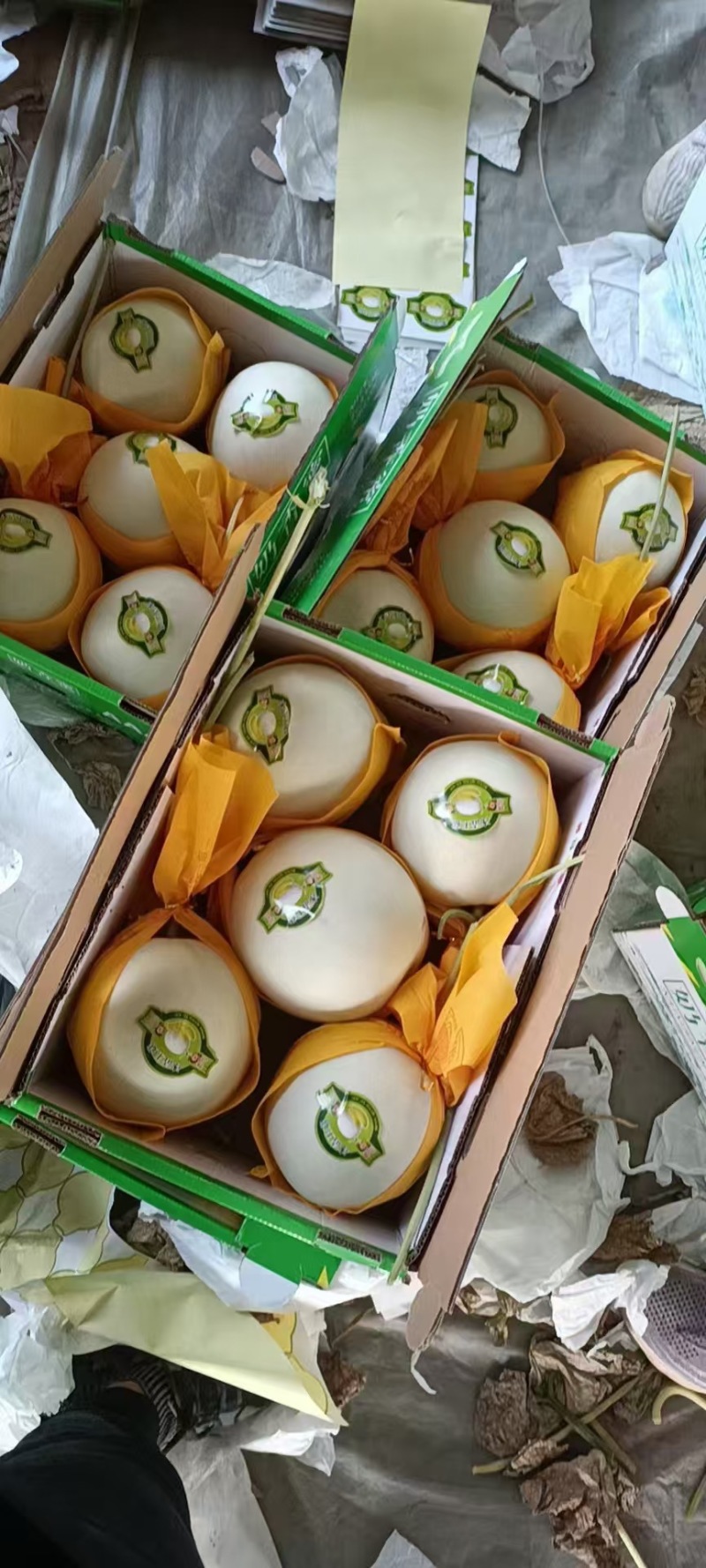 精品玉菇，久红瑞