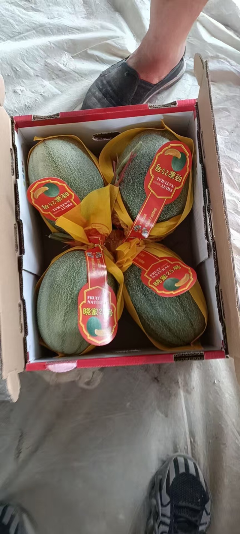 精品玉菇，久红瑞