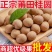 莆田桂圆干皮薄肉厚核小产地直供品质好一手货源欢迎来电详谈