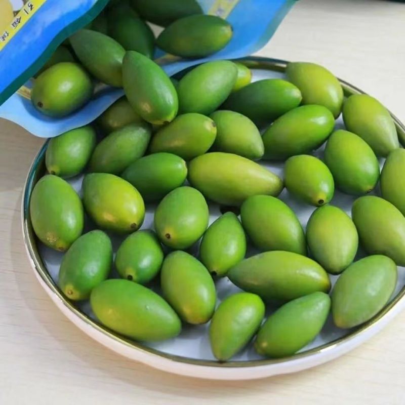 潮汕金灶青橄榄果现摘新鲜甜种橄榄榄生吃青果无渣脆甜