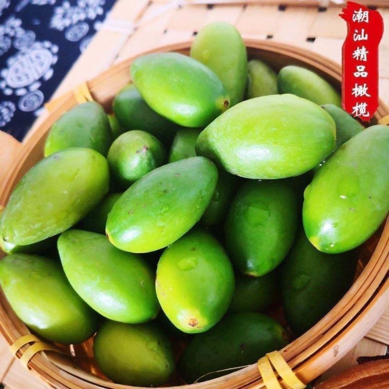 潮汕金灶青橄榄果现摘新鲜甜种橄榄榄生吃青果无渣脆甜