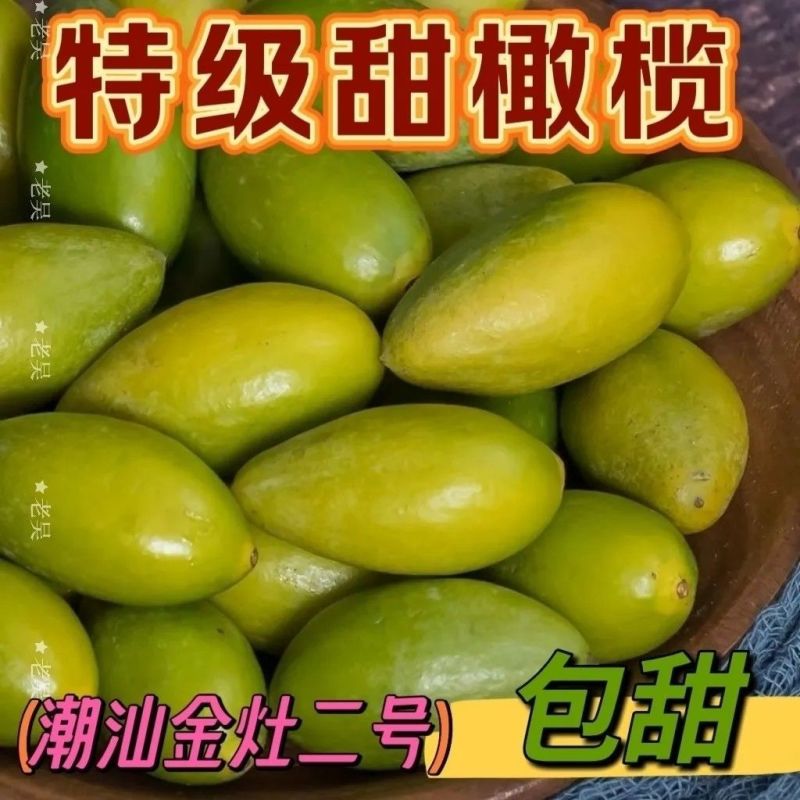 潮汕金灶青橄榄果现摘新鲜甜种橄榄榄生吃青果无渣脆甜