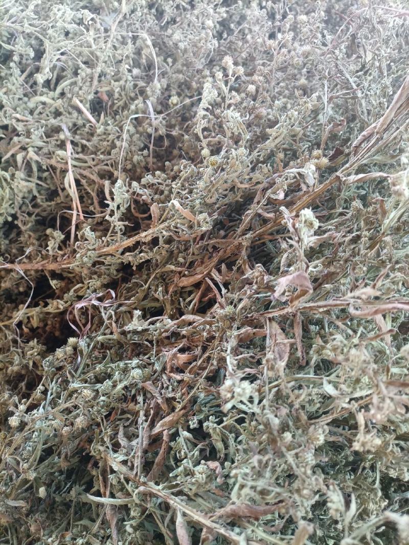 臭灵丹草，小叶野生无硫，自然晒干。可切段粉碎或打机压包。