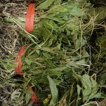 无硫小叶见血清