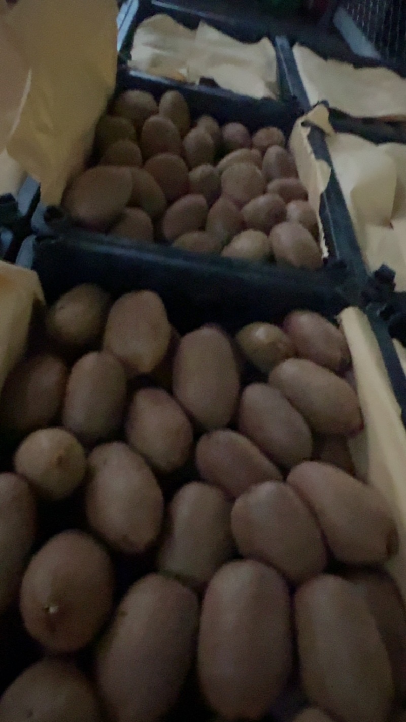绿心猕猴桃做酒果小果个头均匀甜度高
