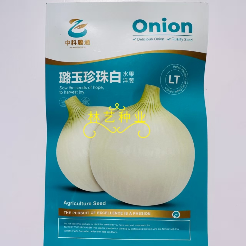 璐玉珍珠白中熟白皮洋葱种子品质好商品性佳秋冬种