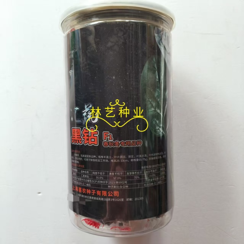 汇蔬黑钻菠菜种子耐抽苔抗病菠菜叶片圆形半直立春秋播种