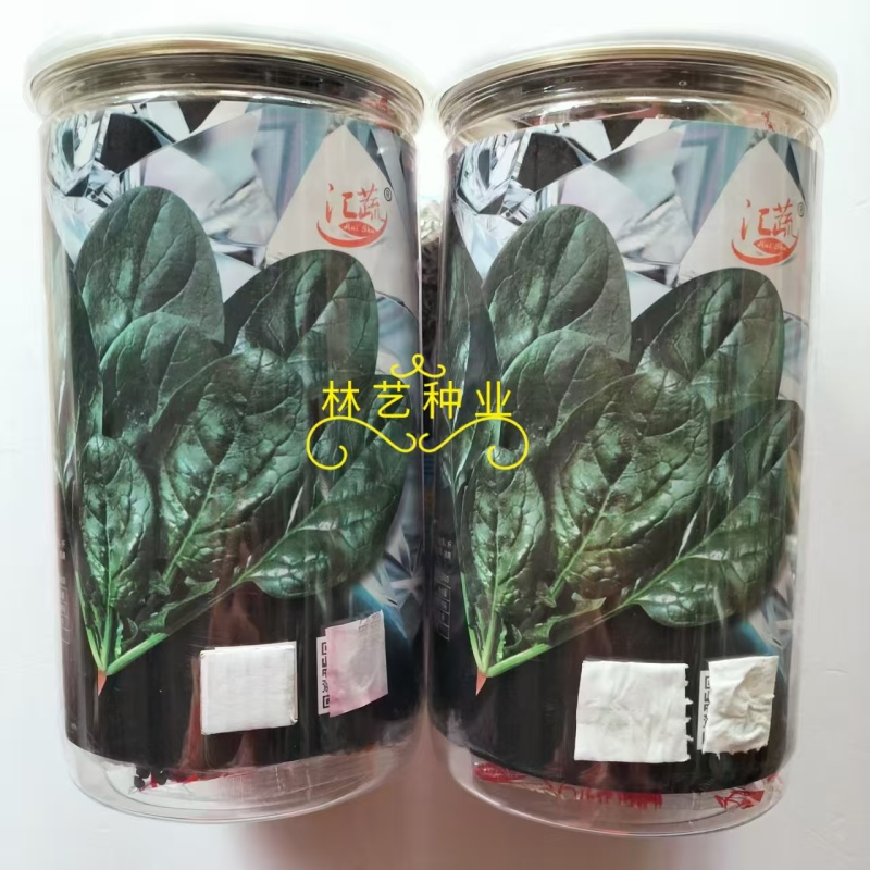 汇蔬黑钻菠菜种子耐抽苔抗病菠菜叶片圆形半直立春秋播种