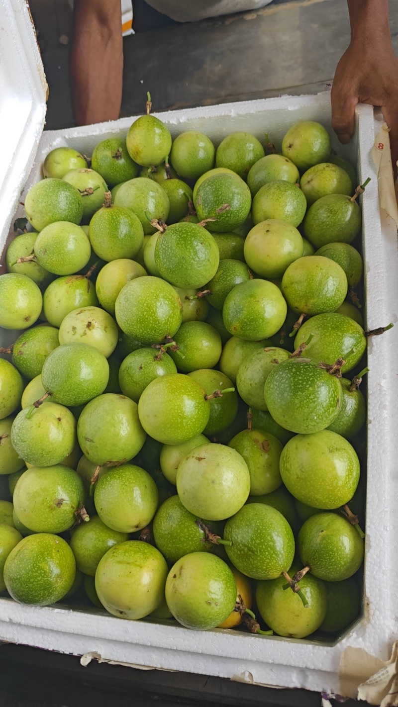钦蜜9号百香果，保质保量，精品货，需要代办联系
