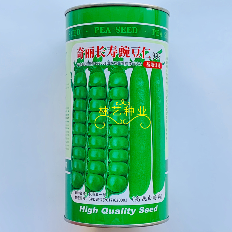 奇丽长寿豌豆仁种子半蔓性白花绿荚味甜抗白粉病秋播甜豌豆种