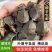 批发小甲鱼苗大苗中华鳖可食用鲜活水鱼团鱼苗外塘养冷水养殖