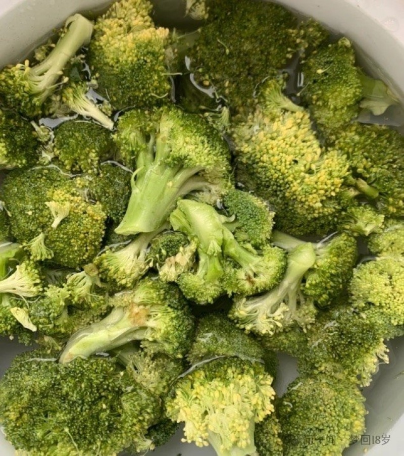 西蓝花种植基地甘肃玉门西蓝花产业联盟2025年西蓝花产业