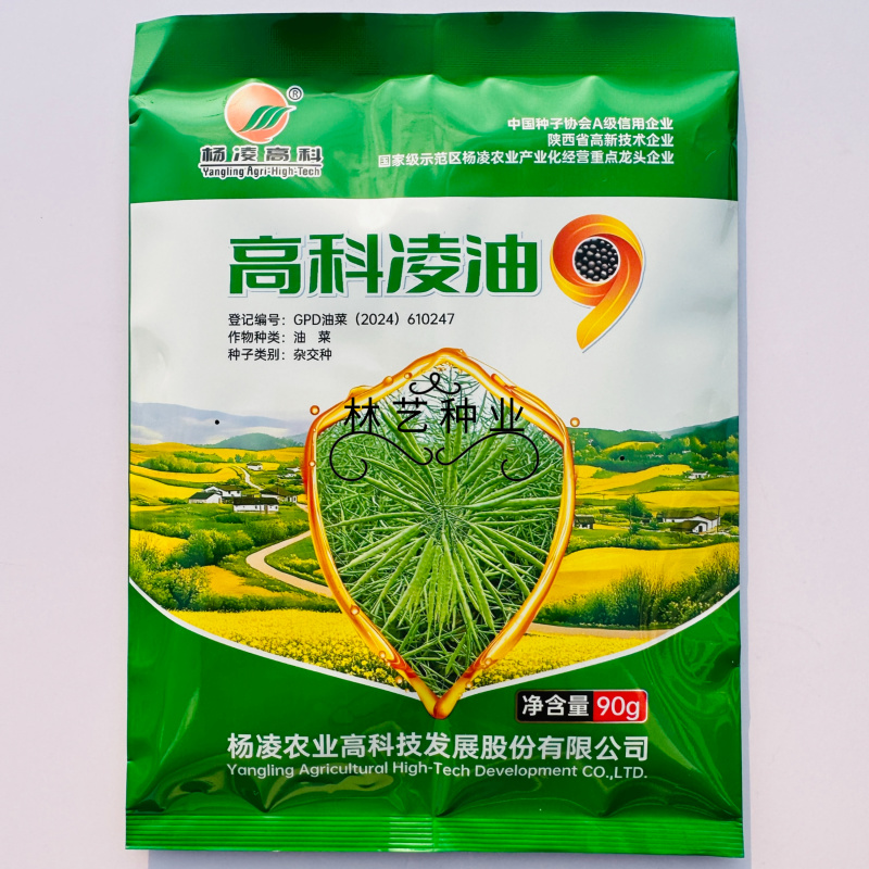 高科凌油9油菜种子高产高油矮杆耐寒抗病抗倒伏