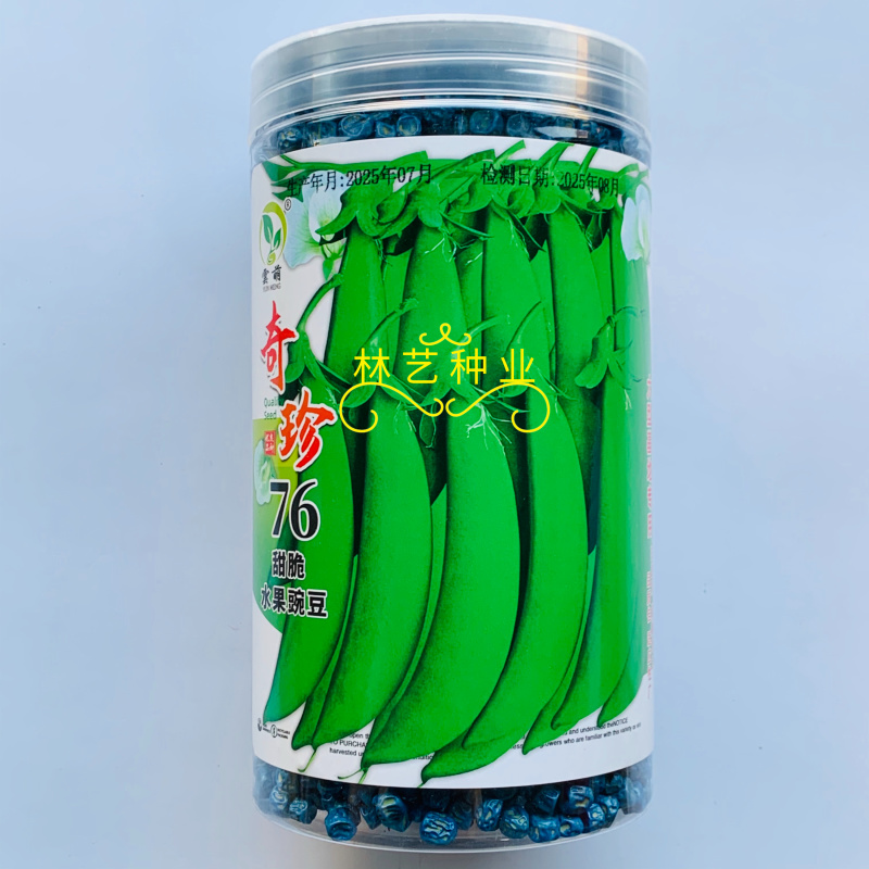 奇珍76甜脆水果豌豆种子蔓生白花绿荚秋播甜豌豆种纤维少抗