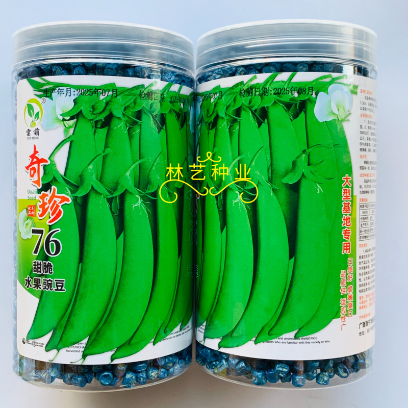 奇珍76甜脆水果豌豆种子蔓生白花绿荚秋播甜豌豆种纤维少抗