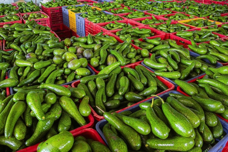 牛油果牛油鲜果果肉加工满足客户所有需求