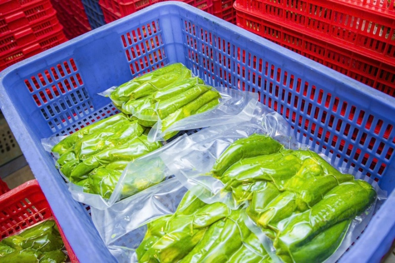牛油果牛油鲜果果肉加工满足客户所有需求