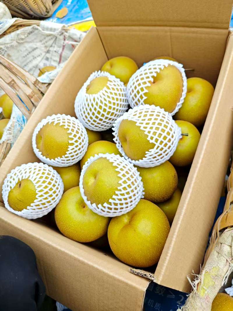 华梨脆甜多汁，入口化渣