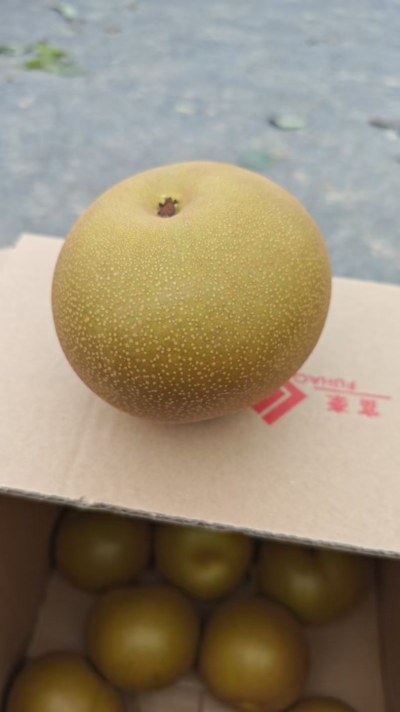 华梨脆甜多汁，入口化渣