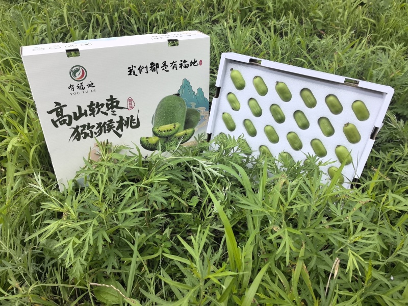 【省内包邮】软枣猕猴桃一件代发3斤装5斤装按需包装
