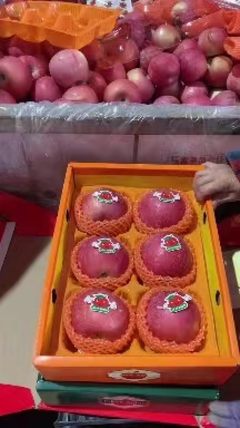 山东【红星苹果】批发当天采摘电商市场商超发货