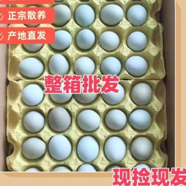 绿壳鸡蛋