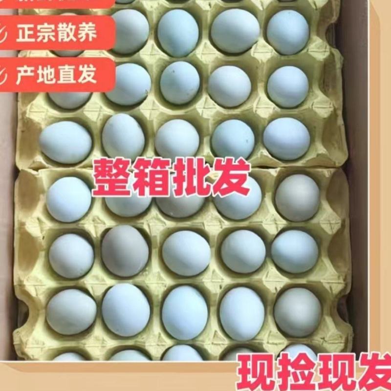 绿壳鸡蛋