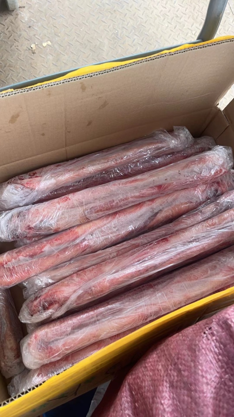 精品牛鞭新疆大牛鞭宝纯干货常年质量稳定牛宝牛蛋