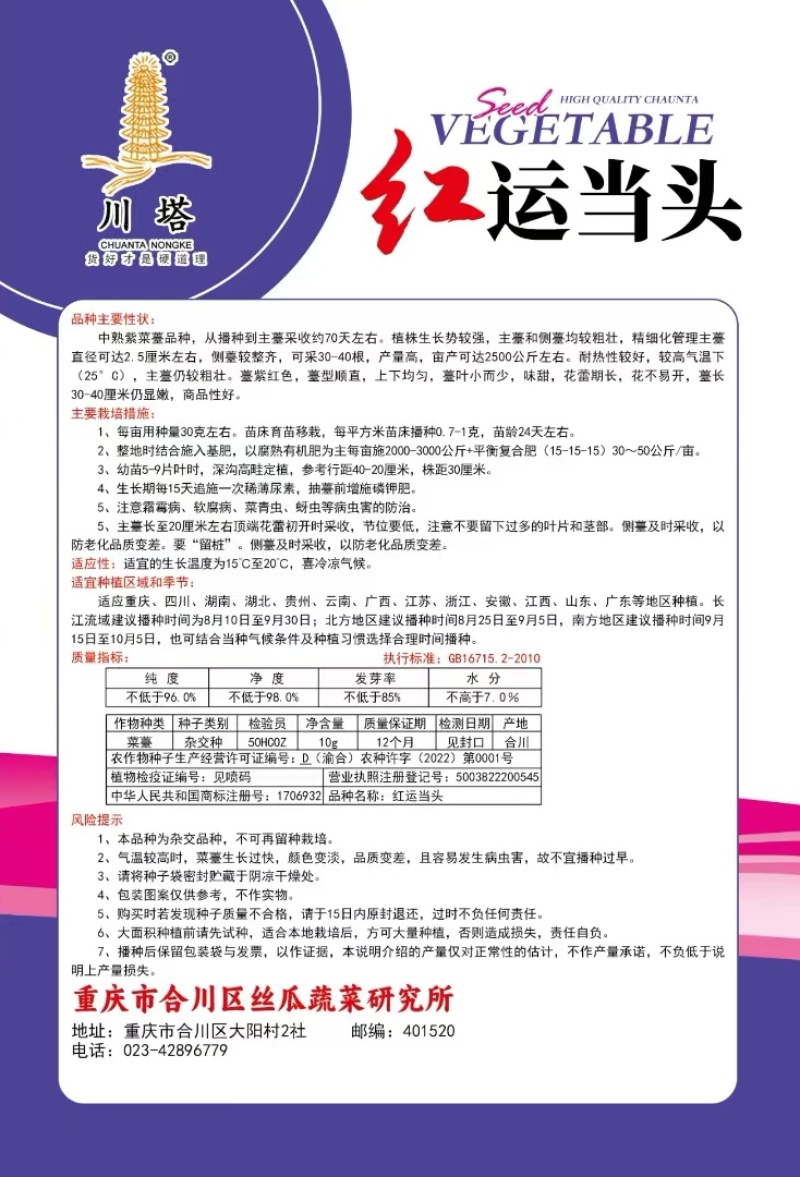 菜苔种子红运当头鲜红色油亮型红油菜苔早熟卖相好