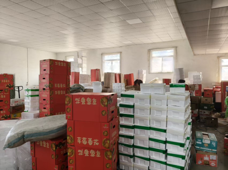 东北铁皮西红柿