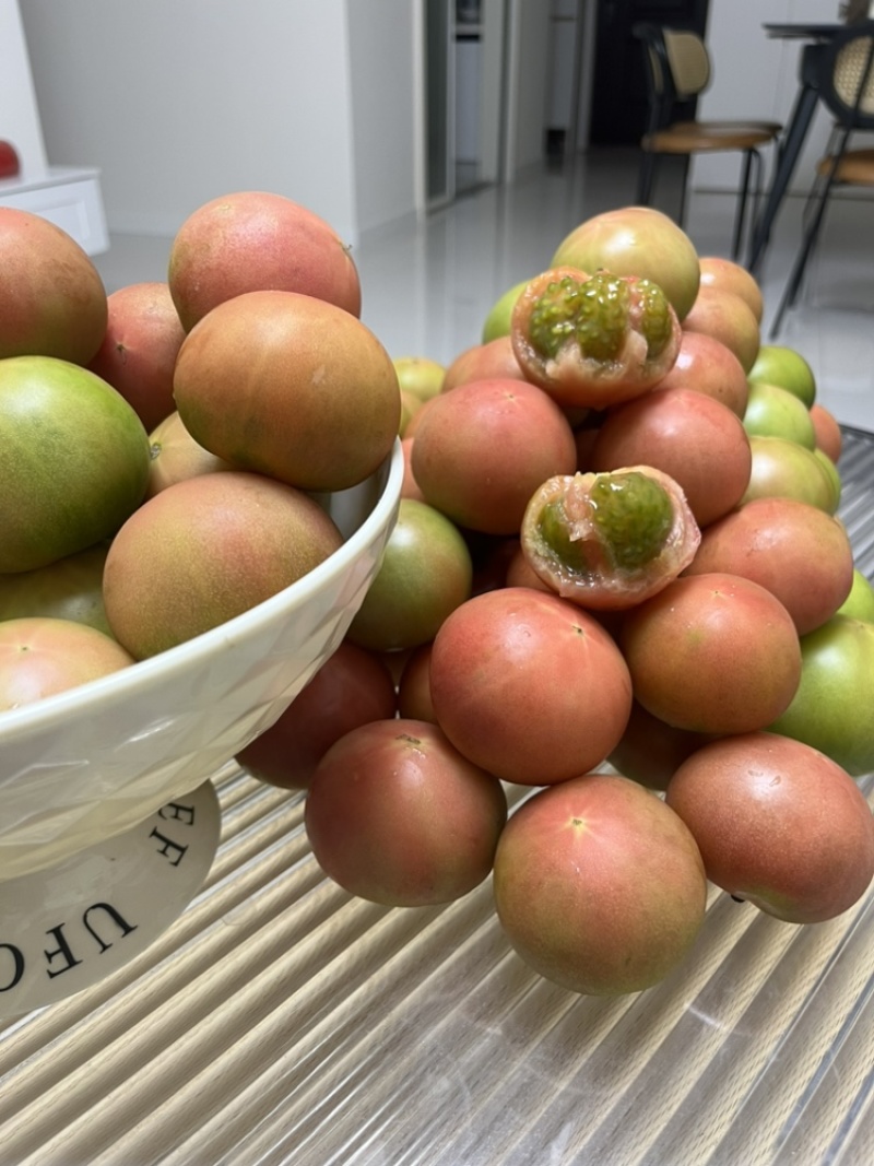 东北铁皮西红柿