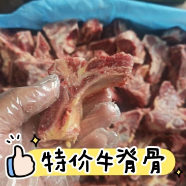 特价牛脊骨